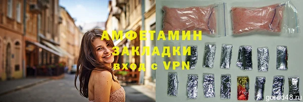 ECSTASY Горняк
