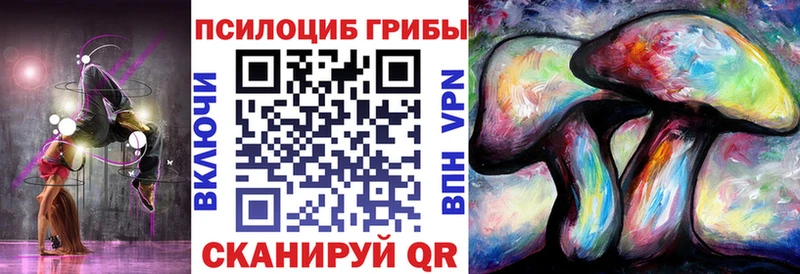 что такое наркотик  Гусев  Псилоцибиновые грибы Psilocybine cubensis 